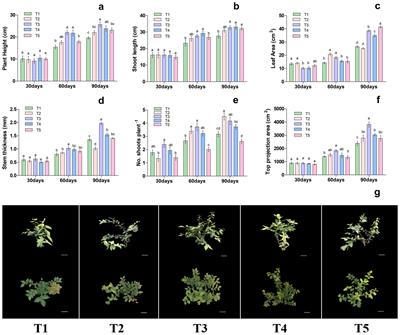 Effects of NH4+-N: NO3–N ratio on growth, nutrient uptake and production of blueberry (Vaccinium spp.) under soilless culture